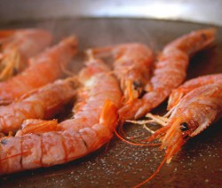 Gambas/Crevette, flambées pastis en persillade